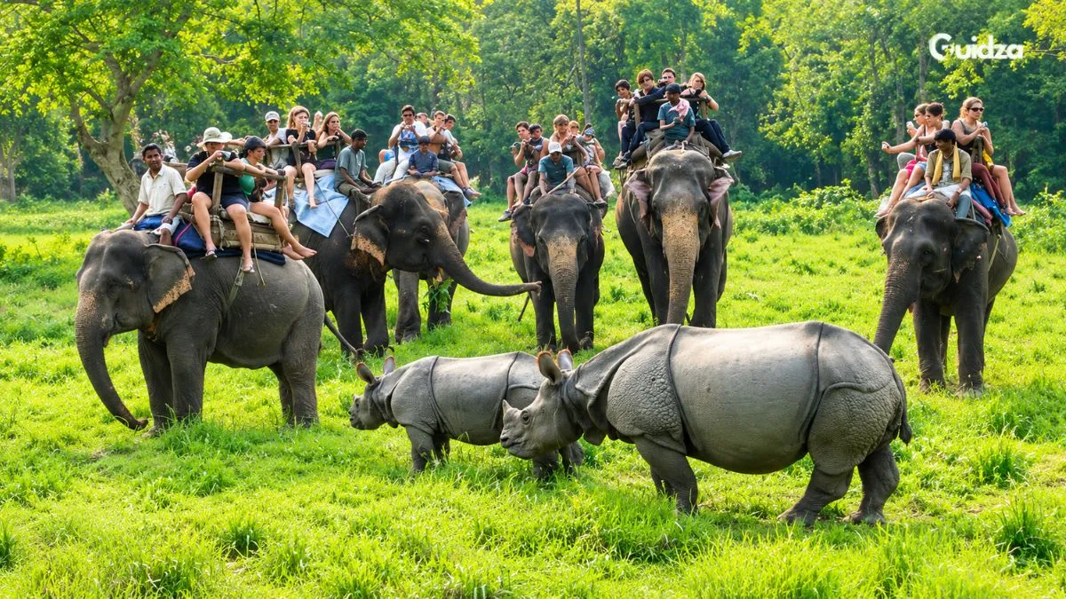 Chitwan National Park
